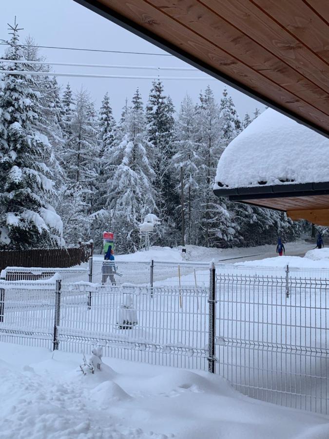 Punkt Koscielisko, Dom Gorski 800 M Od Doliny Koscieliskiej 외부 사진