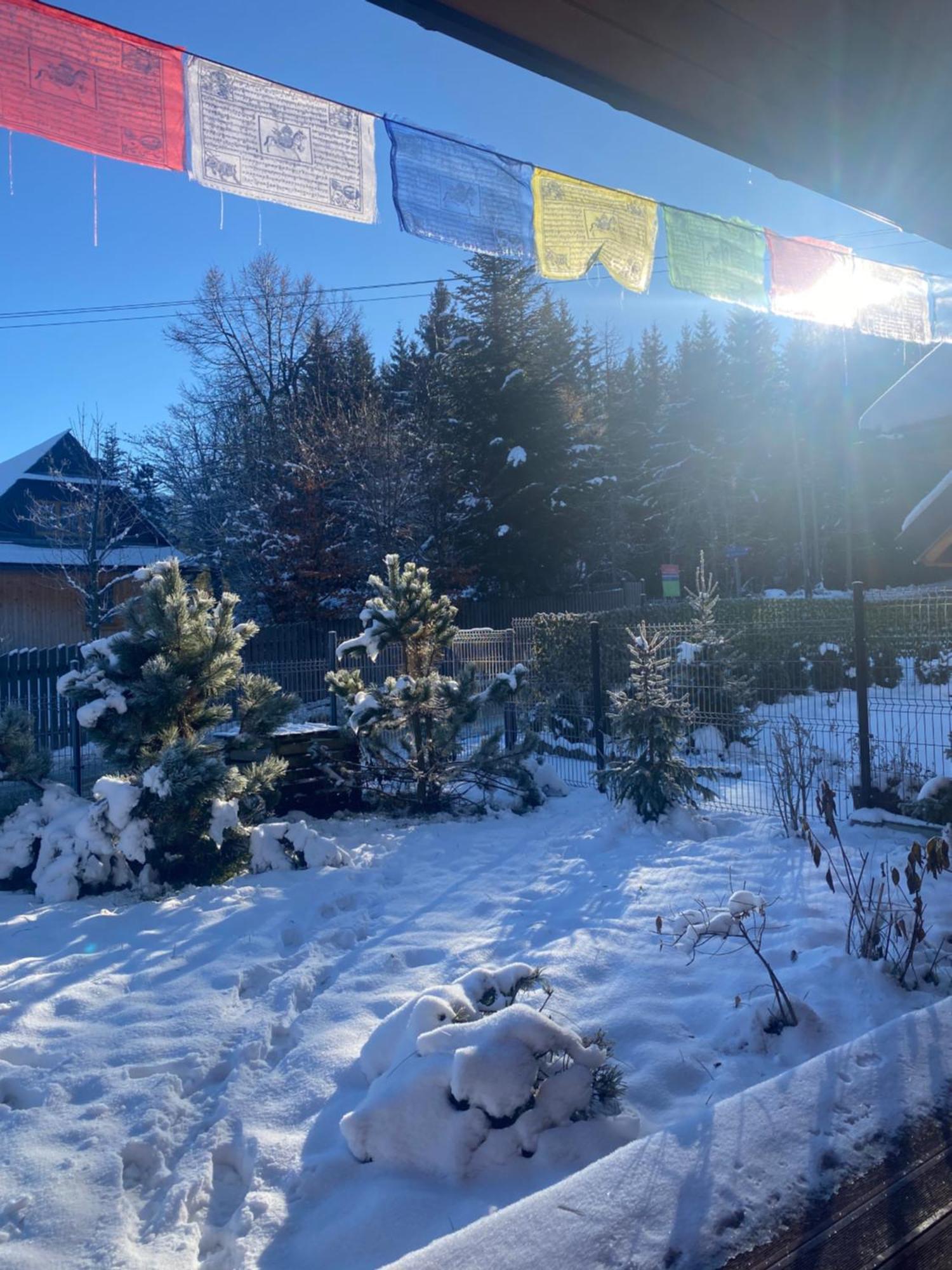 Punkt Koscielisko, Dom Gorski 800 M Od Doliny Koscieliskiej 외부 사진